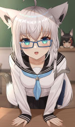 Rule 34 | 2girls, absurdres, ahoge, animal ear fluff, animal ears, black hair, blue neckerchief, blurry, blurry background, blush, breasts, chalkboard, collarbone, commentary request, desk, earrings, extra ears, fox ears, fox girl, fox tail, glasses, green eyes, hair between eyes, hair ornament, hairclip, hand rest, highres, hisui (user zvkr2432), hololive, indoors, jewelry, long sleeves, looking at viewer, multicolored hair, multiple girls, neckerchief, ookami mio, open mouth, peeking out, pentagram, red hair, school desk, school uniform, serafuku, shirakami fubuki, small breasts, streaked hair, tail, virtual youtuber, white hair, wolf ears, wolf girl, yellow eyes