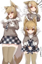Rule 34 | :3, @ @, absurdres, blue eyes, blush, brown sweater, brown thighhighs, character doll, crossed arms, fur collar, gloves, grey necktie, grey skirt, grey wolf (kemono friends), hair between eyes, heterochromia, highres, italian wolf (kemono friends), karekusa meronu, kemono friends, light brown hair, long sleeves, looking at viewer, multicolored hair, multiple views, necktie, orange eyes, plaid, plaid necktie, plaid skirt, pleated skirt, short hair, sidelocks, skirt, sleeve cuffs, sweater, thighhighs, translation request, white fur, white gloves, white hair, yellow eyes, zettai ryouiki