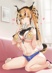Rule 34 | 1girl, animal ears, animal print, black shirt, blue shorts, bra, breasts, brown hair, bubble tea challenge, cleavage, clothes lift, crop top, cup, disposable cup, drinking straw, front-tie bra, hands up, heart, highres, indoors, large breasts, long hair, looking at viewer, mhk (mechamania), micro shorts, multicolored hair, navel, object on breast, original, picture frame, shirt, shirt lift, shorts, sidelocks, sitting, slippers, solo, stomach, string bra, tail, thighs, tiger ears, tiger girl, tiger print, tiger tail, torn clothes, torn shirt, twintails, two-tone hair, underwear, wariza, wet, yellow bra, yellow eyes