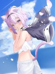 Rule 34 | 1girl, absurdres, ahoge, animal ear fluff, animal ears, bare arms, black shirt, blush, cat ears, cat girl, cat tail, clothing cutout, cowboy shot, crop top, crossed bangs, from side, hair between eyes, highres, hololive, looking at viewer, looking to the side, nekomata okayu, nekomata okayu (casual), parted lips, petals, purple eyes, purple hair, shirt, shorts, solo, standing, tail, tail through clothes, torakichi 888, virtual youtuber, white shorts, wind