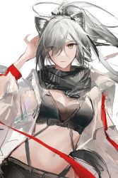 Rule 34 | 1girl, absurdres, animal ear fluff, animal ears, arknights, black scarf, black shirt, black shorts, cat ears, cat girl, cat tail, eyes visible through hair, grey hair, highres, jacket, long hair, looking at viewer, midriff, navel, open clothes, open jacket, ponytail, ryat, scarf, schwarz (arknights), shirt, shorts, simple background, sketch, solo, strapless, tail, tube top, white background, white jacket