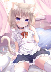 Rule 34 | 1girl, animal ear fluff, animal ears, apron, arm support, black collar, black skirt, bow, brown hair, cat ears, cat girl, cat tail, closed mouth, collar, curtains, day, diagonal stripes, frilled apron, frills, heart, heart-shaped pillow, indoors, looking at viewer, original, panties, petals, pillow, purple eyes, red bow, shirt, skirt, solo, striped, striped pillow, sunlight, tail, thighhighs, umi suzume, underwear, white apron, white panties, white shirt, white thighhighs, window