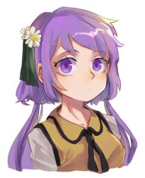 Rule 34 | 1girl, :/, black neckerchief, closed mouth, collarbone, commentary, commission, cropped torso, daisy, flower, green ribbon, gretia, hair flower, hair ornament, hair ribbon, long hair, looking at viewer, neckerchief, purple eyes, purple hair, ribbon, shirt, simple background, solo, touhou, tsukumo benben, upper body, vest, white background, white flower, white shirt, yellow vest
