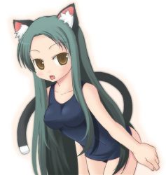 Rule 34 | 00s, 1girl, amamiya minato, animal ears, bad source, blush, breasts, cat ears, cat tail, cowboy shot, fang, green hair, leaning forward, long hair, looking at viewer, one-piece swimsuit, school swimsuit, solo, source request, suzumiya haruhi no yuuutsu, swimsuit, tail, tsuruya, very long hair, white background, yellow eyes