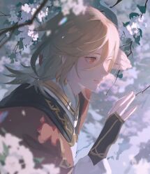 Rule 34 | 1boy, black gloves, blonde hair, blurry, blurry background, blurry foreground, branch, cape, cherry blossoms, earrings, fingerless gloves, fingernails, flower, genshin impact, gloves, gold trim, hair between eyes, hair ornament, hands up, highres, jewelry, kaveh (genshin impact), leaf, lips, long sleeves, looking to the side, male focus, og7ev0q1rgmigyi, outdoors, pink flower, puffy long sleeves, puffy sleeves, red cape, red eyes, ring, shirt, short hair, solo, teeth, white shirt, x hair ornament