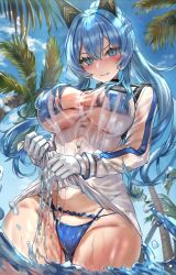 Rule 34 | 1girl, bikini, bikini under clothes, blue bikini, blue eyes, blue hair, blush, breasts, commentary request, day, gluteal fold, goddess of victory: nikke, helm (aqua marine) (nikke), helm (nikke), highres, himonoata, large breasts, long hair, long sleeves, looking at viewer, official alternate costume, outdoors, ponytail, see-through, solo, swimsuit, water, wet, wet clothes, wringing clothes