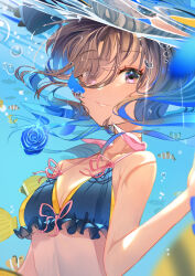 Rule 34 | 1girl, air bubble, angelfish, bikini, blue flower, blue rose, blurry, blurry foreground, blush, breasts, brown hair, bubble, cleavage, clownfish, fish, flower, hair over one eye, halterneck, hand up, hat, unworn hat, unworn headwear, long hair, looking at viewer, parted lips, petals, rice shower (umamusume), rose, small breasts, solo, swimsuit, umamusume, underwater, upper body, water, yomean!