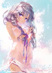 Rule 34 | 1girl, braid, character request, commentary request, copyright request, cowboy shot, dress, flower, hair flower, hair ornament, hair undone, long hair, looking at viewer, mimizuku auru, parted lips, purple eyes, purple hair, ribbon, see-through, see-through silhouette, solo, standing, wading, water, water drop, wet, wet clothes, wet dress, wrist ribbon