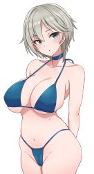 Rule 34 | 1girl, anastasia (idolmaster), arms behind back, bikini, blue bikini, blue eyes, blue neckwear, breasts, choker, collarbone, commentary request, head tilt, highres, idolmaster, idolmaster cinderella girls, large breasts, looking at viewer, mitsukazu (nijigen complex), short hair, silver hair, simple background, solo, swimsuit, white background