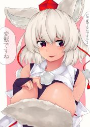 Rule 34 | 1girl, absurdres, animal ears, bad id, bad twitter id, bare shoulders, breasts, clothes lift, crossed bangs, detached sleeves, hair between eyes, hat, highres, inubashiri momiji, looking at viewer, open mouth, pom pom (clothes), red eyes, red hat, ribbon, ribbon-trimmed sleeves, ribbon trim, seductive smile, shirokaba114, shirt, shirt lift, short hair, simple background, sleeveless, sleeveless shirt, smile, solo, sweat, tail, tokin hat, touhou, turtleneck, white hair, white shirt, wolf ears, wolf tail