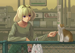 Rule 34 | 00s, 1girl, animal, bag, blonde hair, bra strap, can, cat, chair, closed mouth, drink can, earrings, eyebrows, fence, hair intakes, headpat, holding, holding can, jewelry, long sleeves, looking away, lyrical nanoha, mahou shoujo lyrical nanoha, mahou shoujo lyrical nanoha a&#039;s, nakayama yukiji, outdoors, plastic bag, pole, purple eyes, shamal, short hair, signpost, smile, soda can, solo, train station, tree, upper body, vending machine