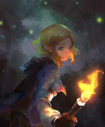 Rule 34 | 1girl, blonde hair, blue eyes, braid, closed mouth, fireflies, forest, hair ornament, hairclip, highres, holding, holding torch, kotetsu mura, looking at viewer, nature, nintendo, parted bangs, pointy ears, short hair, smile, solo, tagme, the legend of zelda, the legend of zelda: breath of the wild, the legend of zelda: tears of the kingdom, torch