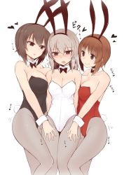 Rule 34 | 10s, 3girls, akitsuchi shien, alternate costume, animal ears, arms behind back, bad id, bad twitter id, bare arms, bare shoulders, black bow, black bowtie, black leotard, blush, bow, bowtie, breast press, breasts, brown eyes, brown hair, cleavage, closed mouth, collarbone, detached collar, drooling, embarrassed, eyebrows, eyelashes, fake animal ears, fake tail, full-face blush, girl sandwich, girls und panzer, grey legwear, hair between eyes, hairband, hand on another&#039;s thigh, head tilt, heart, heart-shaped pupils, highres, itsumi erika, large breasts, leotard, light brown hair, long hair, looking down, medium breasts, motion lines, multiple girls, nishizumi maho, nishizumi miho, pantyhose, playboy bunny, rabbit ears, rabbit tail, red leotard, sandwiched, short hair, siblings, silver hair, sisters, small breasts, smile, strapless, strapless leotard, sweat, symbol-shaped pupils, tail, translation request, tsurime, white leotard, wrist cuffs, yuri