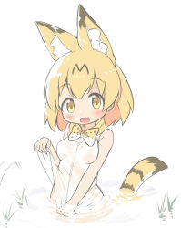 Rule 34 | 10s, 1girl, :3, :d, animal ears, bare arms, bare shoulders, blonde hair, blush, breasts, fang, hair between eyes, highres, kemono friends, makuran, medium breasts, no bra, open mouth, partially submerged, see-through, serval (kemono friends), serval tail, shirt, sleeveless, sleeveless shirt, smile, solo, striped tail, tail, tail raised, water, wet, wet clothes, wet shirt, white background, white shirt, yellow eyes