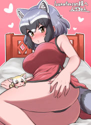 Rule 34 | 2girls, = =, animal ear fluff, animal ears, ass, bad id, bad pixiv id, bare arms, bare shoulders, black hair, black panties, blush, breasts, brown eyes, chibi, china dress, chinese clothes, common raccoon (kemono friends), dress, extra ears, feet out of frame, fennec (kemono friends), fox ears, grey hair, hand on own ass, heart, highres, kemono friends, large breasts, looking at viewer, lying, mini person, minigirl, multicolored hair, multiple girls, ngetyan, on bed, on side, outline, panties, pink background, raccoon ears, raccoon tail, red dress, side slit, simple background, sleeveless, sleeveless dress, sweat, tail, translated, underwear, white hair, white outline