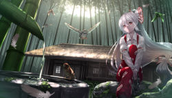 Rule 34 | 1girl, bamboo, bird, bow, building, collared shirt, dutch angle, feathers, forest, fujiwara no mokou, hair bow, house, long hair, long sleeves, looking at viewer, low-tied long hair, nature, outdoors, red eyes, ryosios, shirt, silver hair, sitting, solo, touhou, tree, very long hair, water