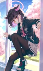 Rule 34 | 1girl, absurdres, animal ears, black hair, black jacket, blue archive, blush, brown pantyhose, colored inner hair, day, extra ears, grin, halo, highres, jacket, kazusa (blue archive), kurone (kurone ryuo), long sleeves, looking at viewer, multicolored hair, pantyhose, pink hair, red eyes, shoes, skirt, smile, solo, tree, white skirt, window