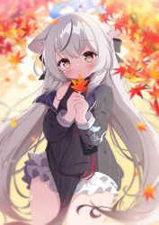 Rule 34 | 1girl, absurdres, animal ear fluff, animal ears, autumn leaves, black dress, black hair, blue archive, blurry, blurry background, brown eyes, closed mouth, dress, g4ku, heart, heart-shaped pupils, highres, holding, holding leaf, kokona (blue archive), leaf, long hair, looking at viewer, maple leaf, multicolored hair, outdoors, sidelocks, smile, solo, streaked hair, striped clothes, striped dress, symbol-shaped pupils, thighs, vertical stripes, very long hair, white hair