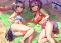 Rule 34 | 2girls, arm rest, arm support, ass, bare arms, bare legs, bare shoulders, barefoot, beach, bikini, bird tail, black hair, blue bikini, breasts, brown eyes, brown hair, cleavage, closed eyes, commentary request, day, eurasian eagle owl (kemono friends), feet out of frame, grey hair, hair between eyes, hand on own hip, highres, kemono friends, looking at viewer, lying, medium breasts, medium hair, multicolored hair, multiple girls, northern white-faced owl (kemono friends), on side, open mouth, outdoors, owl ears, red bikini, sand, shade, small breasts, stomach, sweat, swimsuit, tadano magu, tail, yellow eyes
