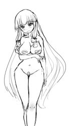 Rule 34 | 1girl, bandaid, bandaid on pussy, bandaids on nipples, blush, breast hold, breasts, curvy, drawfag, female focus, greyscale, large breasts, long hair, monochrome, multi-tied hair, nude, pasties, patchouli knowledge, solo, touhou, twintails, very long hair