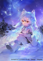 Rule 34 | 888myrrh888, animal ears, arctic wolf (kemono friends), blue hair, blush, boots, bow, bowtie, coat, commentary request, elbow gloves, fur trim, gloves, grey coat, grey skirt, kemono friends, kemono friends 3, long hair, night, night sky, official art, pantyhose, plaid, plaid skirt, plaid trim, pleated skirt, shirt, short sleeves, sitting, skirt, sky, snow, snowman, solo, star (sky), tail, translation request, white bow, white bowtie, white footwear, white fur, white gloves, white hair, white pantyhose, white shirt, winter, winter clothes, winter coat, wolf ears, wolf girl, wolf tail, yellow eyes