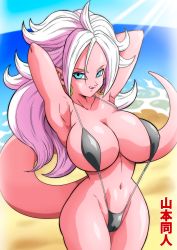 Rule 34 | 1girl, absurdres, android 21, beach, bikini, breasts, dragon ball, dragon ball fighterz, female focus, highres, large breasts, looking at viewer, majin android 21, swimsuit, tail, yamamoto doujin