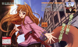 Rule 34 | 00s, 1girl, absurdres, animal ears, brown hair, dengeki g&#039;s, highres, holo, long hair, magazine scan, megami magazine, official art, red eyes, scan, shinohara kenji, solo, spice and wolf, tail, wolf ears, wolf tail