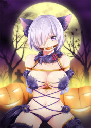 Rule 34 | 1girl, animal ear fluff, animal ears, arms behind back, ball gag, bare shoulders, bare tree, bdsm, bondage, bound, bound arms, breasts, cleavage, commentary, elbow gloves, fake animal ears, fake tail, fate/grand order, fate (series), full moon, fur-trimmed gloves, fur-trimmed legwear, fur collar, fur trim, gag, gagged, gloves, hair over one eye, halloween, halloween costume, highres, jack-o&#039;-lantern, lace, lace-trimmed legwear, lace trim, large breasts, legs apart, light purple hair, looking at viewer, mash kyrielight, mash kyrielight (dangerous beast), moon, navel, o-ring, official alternate costume, orange rope, pumpkin, purple eyes, purple thighhighs, restrained, revealing clothes, rope, solo, tail, thighhighs, tree, yasume yukito