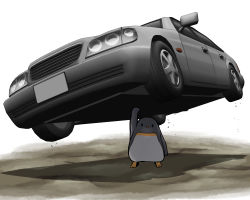 Rule 34 | animal, arm up, bird, car, commentary request, hijikata-san (m.m), lifting vehicle, looking at viewer, m.m, motor vehicle, no humans, original, penguin, simple background, solid oval eyes, standing, vehicle focus, vehicle request, white background
