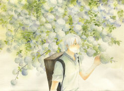 Rule 34 | 1boy, amber t, backpack, bag, branch, chinese commentary, collared shirt, flower, ginko, green eyes, hair over one eye, highres, holding, holding branch, leaf, light smile, looking away, male focus, mushishi, one eye covered, painting (medium), plant, plant request, shirt, short sleeves, solo, standing, traditional media, upper body, watercolor (medium), white flower, white hair, white shirt