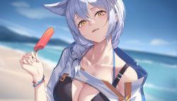 Rule 34 | 1girl, animal ears, arknights, beach, bikini, black bikini, blue sky, blurry, blurry background, blush, braid, breasts, cleavage, collarbone, day, depth of field, food, hair over shoulder, highres, holding, holding food, large breasts, long hair, looking at viewer, nian (zhanian), off shoulder, official alternate costume, outdoors, parted lips, popsicle, provence (arknights), provence (casual vacation) (arknights), short sleeves, silver hair, single bare shoulder, single braid, sky, smile, solo, swimsuit, wolf ears, wristband