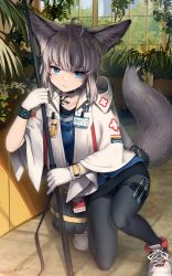 Rule 34 | 1girl, absurdres, ahoge, animal ears, arknights, black collar, black pantyhose, black skirt, black wristband, blue eyes, blue shirt, brown hair, collar, commentary, female focus, fox ears, fox girl, fox tail, full body, gloves, highres, id card, indoors, infection monitor (arknights), jacket, looking at viewer, material growth, on one knee, open clothes, open jacket, oripathy lesion (arknights), pantyhose, plant, shirt, shoes, short hair, sidelocks, skirt, solo, sussurro (arknights), tail, thigh strap, welt (kinsei koutenkyoku), white footwear, white gloves, white jacket, window