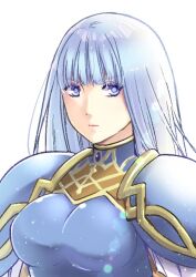 Rule 34 | 1girl, armor, blue armor, blue eyes, breastplate, closed mouth, grey hair, lenneth valkyrie, long hair, looking at viewer, shoulder pads, simple background, solo, tachibana mitsuki, valkyrie profile (series), very long hair, white background