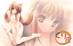 Rule 34 | 00s, animal ears, barefoot, blush, brown eyes, brown hair, censored, convenient censoring, feet, holo, long hair, namamo nanase, nude, solo, spice and wolf, tail, wolf ears, wolf tail