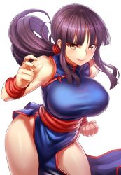Rule 34 | 1girl, black hair, bracer, breasts, brown eyes, chi-chi (dragon ball), china dress, chinese clothes, dragon ball, dress, fighting stance, large breasts, long hair, solo, tagme