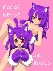 Rule 34 | 2girls, animal ears, artist request, blush, cat ears, cat tail, character request, covering privates, flat chest, multiple girls, purple hair, red eyes, smile, source request, tail, translation request