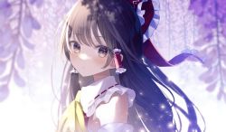 Rule 34 | 1girl, :/, ascot, bare shoulders, blurry, blurry foreground, blush, bow, brown eyes, brown hair, depth of field, expressionless, flower, frilled bow, frilled hair tubes, frilled shirt collar, frills, hair bow, hair tubes, hakurei reimu, light particles, long hair, looking at viewer, overexposure, ragi (diabolik angle), red bow, red vest, sidelocks, solo, swept bangs, touhou, upper body, vest, wisteria, yellow ascot