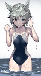 Rule 34 | 1girl, alternate costume, animal ears, bare shoulders, blue eyes, blue one-piece swimsuit, breasts, commentary request, competition swimsuit, cowboy shot, grey hair, hair between eyes, highleg, highres, horse girl, looking at viewer, one-piece swimsuit, partially submerged, seiun sky (umamusume), short hair, simple background, small breasts, solo, solokitsune, swimsuit, umamusume, water, wet, wet hair, white background