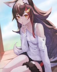 Rule 34 | 1girl, absurdres, animal ear fluff, animal ears, black hair, clothing cutout, finger to mouth, highres, hololive, multicolored hair, ookami mio, ookami mio (casual), pencamp, red hair, shorts, sitting, streaked hair, tail, tail wrap, virtual youtuber, white hair, wooden floor