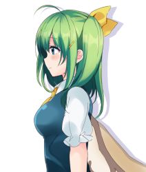 Rule 34 | 1girl, ahoge, ascot, blue eyes, blush, bow, daiyousei, fairy wings, from side, fujishiro emyu, green hair, hair bow, hair ornament, hairpin, long sleeves, profile, side ponytail, solo, touhou, wide sleeves, wings