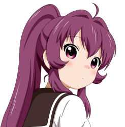 Rule 34 | 1girl, long hair, momo (esem), ponytail, purple eyes, purple hair, school uniform, serafuku, solo, sugiura ayano, yuru yuri