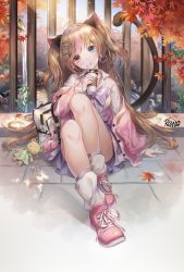 Rule 34 | 1girl, animal ears, artist name, bag, blue eyes, brown hair, cat ears, cat tail, cup, drinking straw, earrings, girls&#039; frontline, head tilt, heart, heart earrings, heterochromia, holding, holding cup, jewelry, knees up, leaf, legs, long hair, long sleeves, looking at viewer, mk23 (girls&#039; frontline), mk23 (new term begins with a meow) (girls&#039; frontline), outdoors, red eyes, red footwear, roang, shirt, shoes, sitting, socks, solo, tail, white shirt