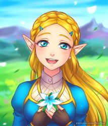 Rule 34 | 1girl, blonde hair, blue eyes, braid, breasts, burbur, day, eyebrows, fingerless gloves, flower, french braid, gloves, grass, hair ornament, hairclip, half-closed eyes, happy, looking at viewer, nintendo, open mouth, outdoors, pointy ears, princess zelda, silent princess, sky, small breasts, smile, solo, solo focus, the legend of zelda, the legend of zelda: breath of the wild, thick eyebrows, upper body, watermark, web address
