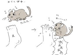 Rule 34 | animal focus, arrow (symbol), disembodied hand, feet, flying sweatdrops, full body, greyscale, hamster, jaggy lines, japanese text, monochrome, motion lines, multiple views, original, oyama yoihaya, shouting, simple background, sketch, speech bubble, spread toes, standing, sweat, toes, translation request, walking, white background