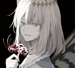 Rule 34 | 1boy, arthropod boy, black background, blue cape, blue eyes, bug, butterfly, butterfly wings, cape, crown, diamond hairband, fate/grand order, fate (series), flower, fur trim, grey hair, holding, holding flower, insect, insect wings, light blush, light smile, long sleeves, looking at viewer, male focus, medium hair, nozz177, oberon (fate), portrait, simple background, smile, solo, spider lily, upper body, white hair, wings