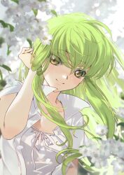 Rule 34 | 1girl, blurry, blurry background, blurry foreground, branch, c.c., closed mouth, code geass, commentary request, creayus, day, floating hair, flower, green hair, hair between eyes, hand in own hair, long hair, open clothes, open shirt, outdoors, shirt, short sleeves, smile, solo, split mouth, upper body, white flower, white shirt, yellow eyes