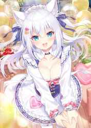 Rule 34 | 1girl, animal ears, anniversary, balloon, blue eyes, breasts, cake, cat ears, cleavage, collarbone, commentary request, dress, food, frills, hair ornament, hair ribbon, holding hands, large breasts, long hair, long sleeves, maid, maid headdress, noripro, okanoyuno, open mouth, pov, pov hands, ribbon, shirayuki mishiro, smile, solo focus, thighhighs, two side up, virtual youtuber, white hair, white thighhighs, wing collar, wooden floor