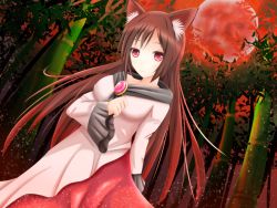 Rule 34 | 1girl, animal ears, bamboo, bamboo forest, breasts, brooch, brown hair, deeshima, dress, dutch angle, forest, frilled sleeves, frills, full moon, hand on own chest, imaizumi kagerou, jewelry, layered dress, light particles, light smile, long hair, long sleeves, looking at viewer, moon, nature, red eyes, red moon, red sky, sky, solo, touhou, wolf ears