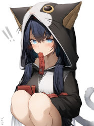 Rule 34 | !, !!, 1girl, absurdres, animal hood, arknights, bare legs, black hair, blaze (arknights), blue eyes, blush, breasts, cat girl, cat hood, cat tail, character name, ciao churu, drawstring, fang, feet out of frame, highres, hood, hood up, hoodie, long hair, long sleeves, looking at viewer, medium breasts, mouth hold, no pants, official alternate costume, pet food, simple background, skin fang, solo, squatting, tab head, tail, translation request, two-tone hoodie, very long hair, white background