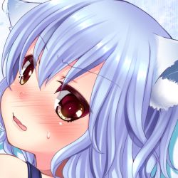 Rule 34 | 1girl, animal ears, bad id, bad pixiv id, blue hair, blush, cat ears, cat girl, close-up, female focus, irori, kemonomimi mode, looking at viewer, portrait, red eyes, remilia scarlet, short hair, solo, touhou, wavy mouth